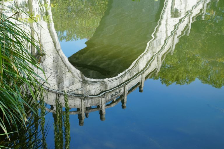 Free stock photo of forest, lake expanse, lakes